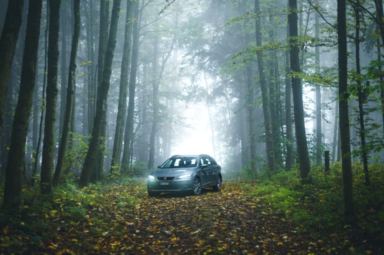 Seat Leon X-Perience – Herbstliche Stimmungsbilder