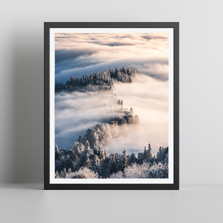 Wandbild Bäume im Nebel - Niels Oberson - Fotograf