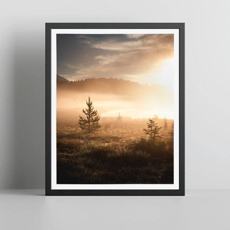 Wandbild Bäume im Nebel - Niels Oberson - Fotograf
