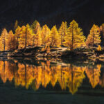 Niels Oberson Landscape Photography Aostatal Herbst Lärchen