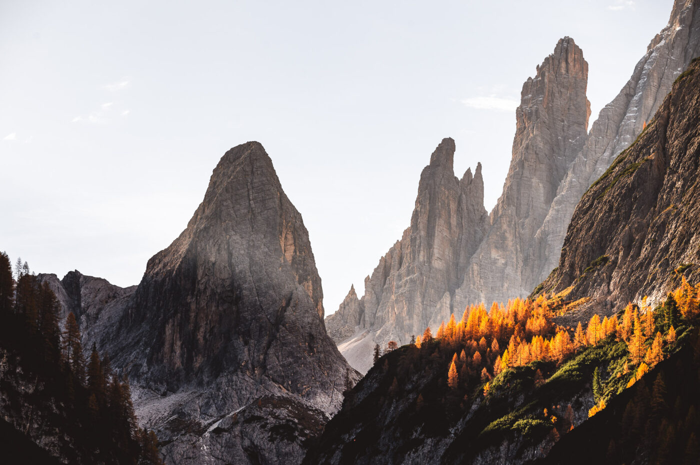 Niels Oberson Landschaftsfotograf Goldene Dolomiten Herbst Lärchen