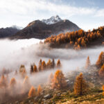 Niels Oberson Tourismus Fotograf Landschaft Engadin Silsersee Nebel Herbst