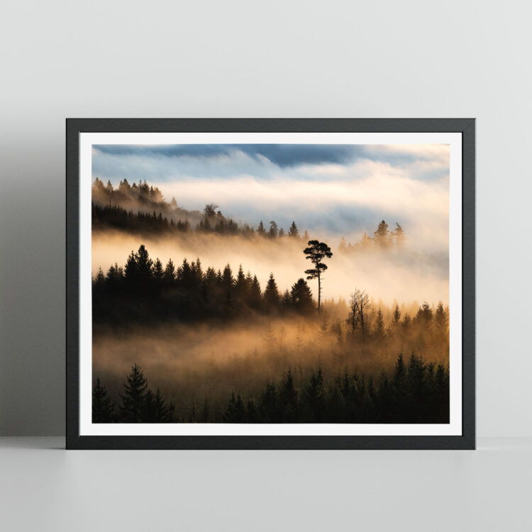 Stand Out - Baum im Nebel Print Bantiger Bern