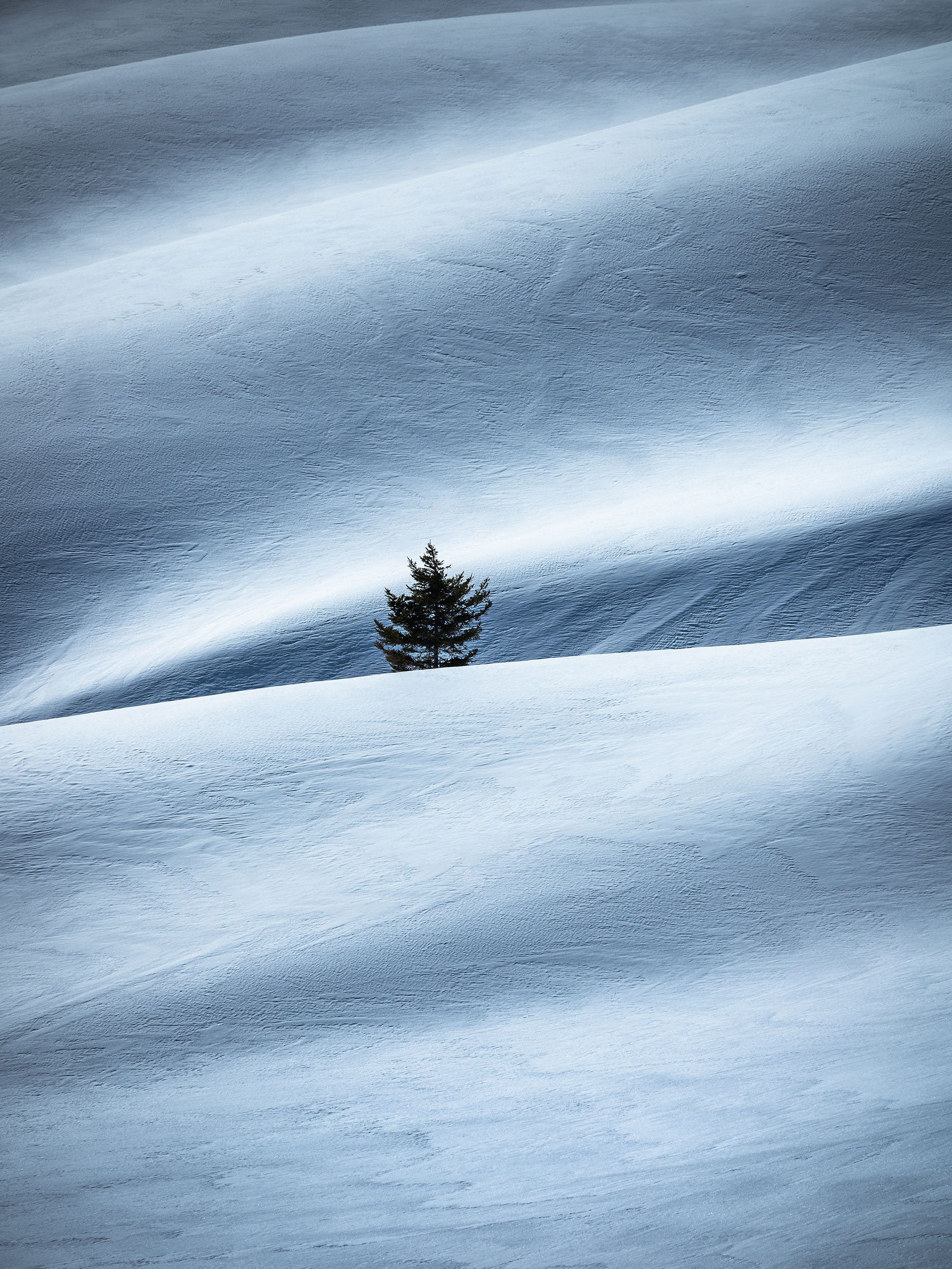 Einzelner Baum im Schnee Schweizer Landschaft Print Wandbild